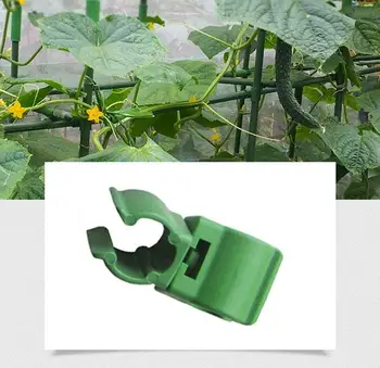 Соединительный зажим для решетки для растений из 20шт, регулируемые зеленые аксессуары для стентов из ротанга для скалолазания